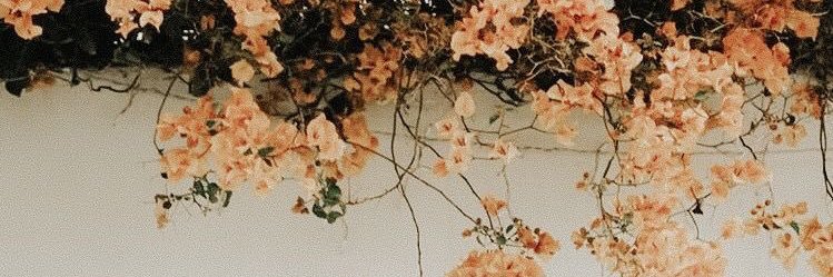 _emma39's profile banner image