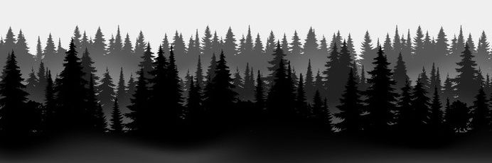 MelanieCastagna's profile banner image