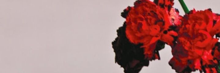 keroly_keke's profile banner image