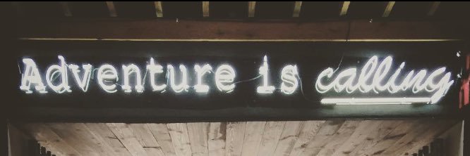 phelpsbecca's profile banner image