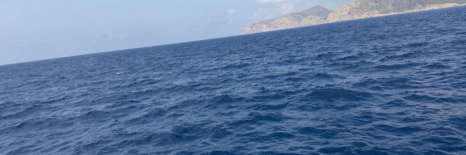 sasimani248's profile banner image