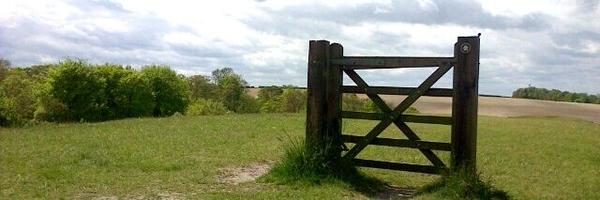 rrfeathers Profile Banner