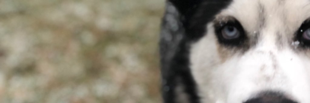 KassyMarie_S's profile banner image
