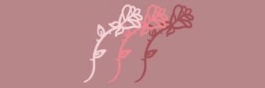 MeganCKB's profile banner image