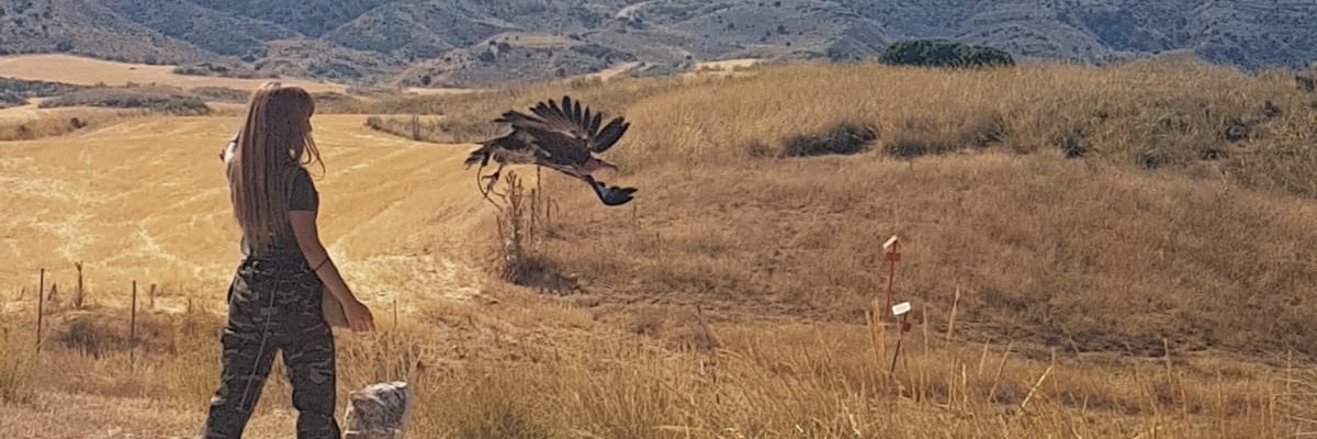 blancagibson's profile banner image
