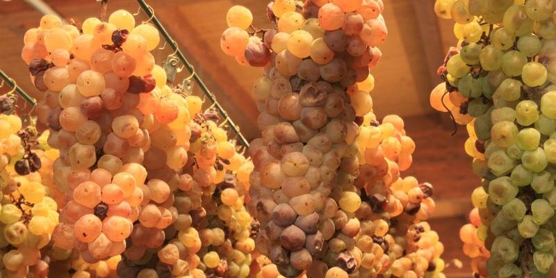 TopItalianWine's profile banner image