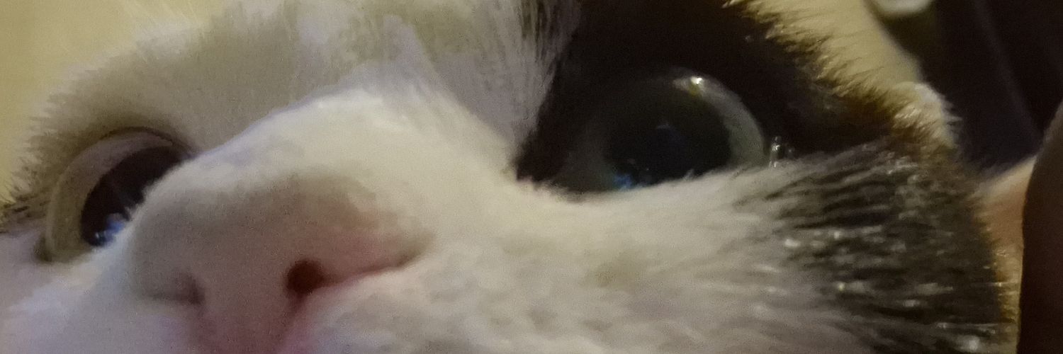alfied121's profile banner image