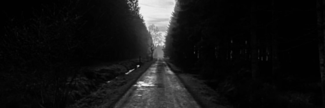 kwintenseghers's profile banner image