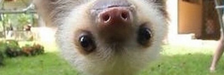 Karrise Willetts banner