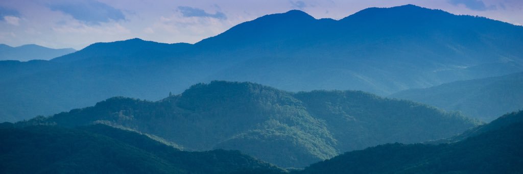 bargere's profile banner image