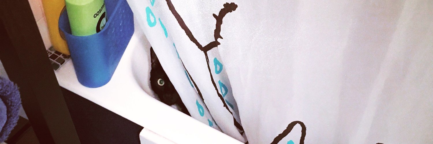 Polo_Chat's profile banner image
