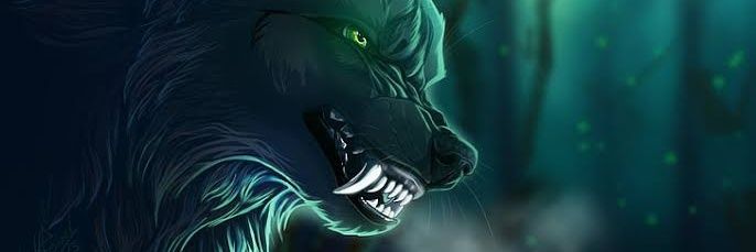 kadircinaar's profile banner image