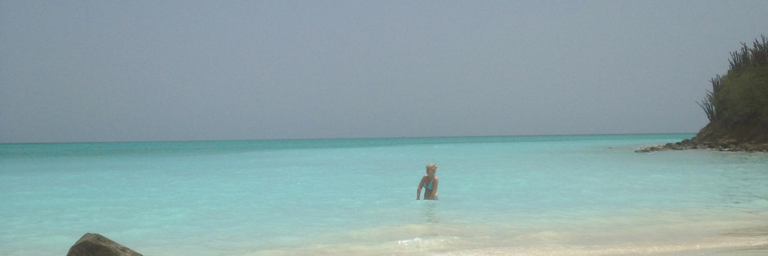 Lloyd Williams banner