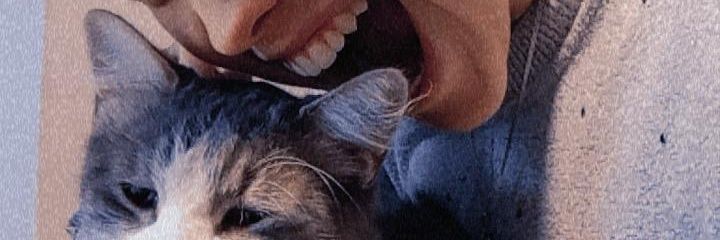 clarabasteri's profile banner image