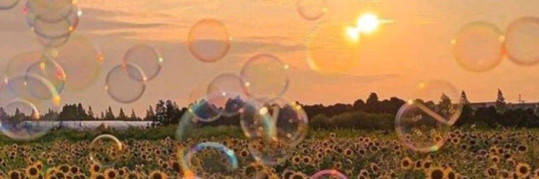 sedarslan1907's profile banner image