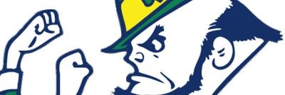 minnesotaberg's profile banner image