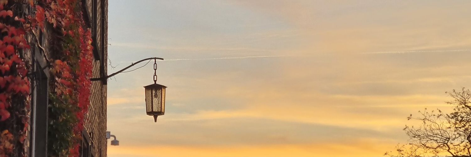 Dani 🌵 banner