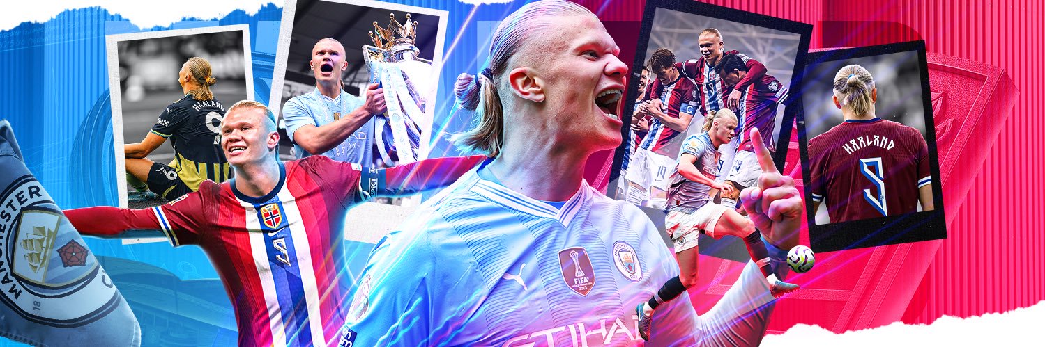 Erling Haaland's banner