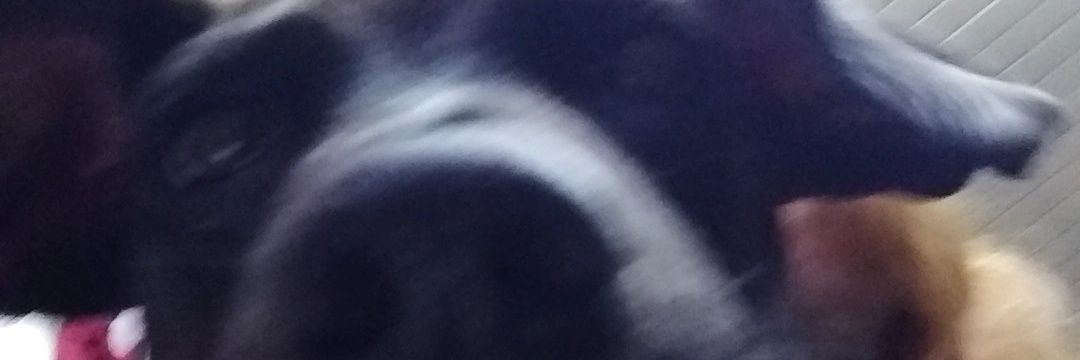01Micaelaborges's profile banner image