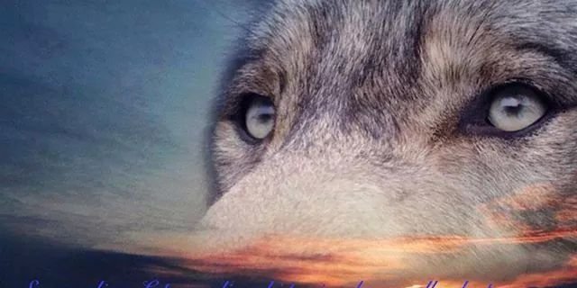 Giady200205's profile banner image
