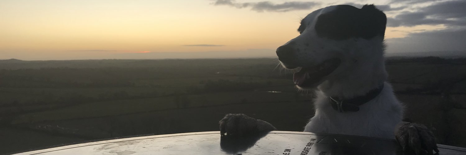 BrownieQueen's profile banner image