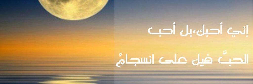 bdor133's profile banner image