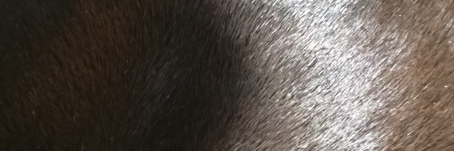 ProfVariant's profile banner image