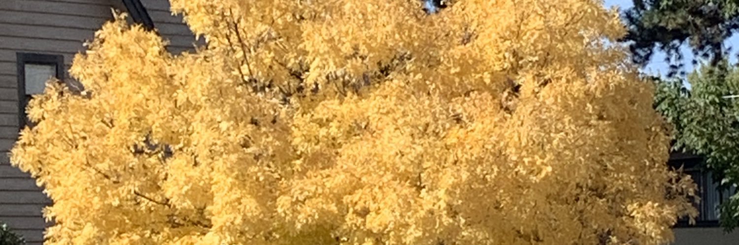 OldEnoughToKnowBetter🏳️‍🌈♉️🚀 banner