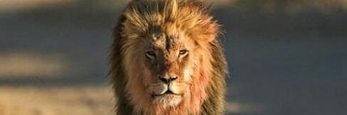 Galatasaray Düşünce Derneği banner