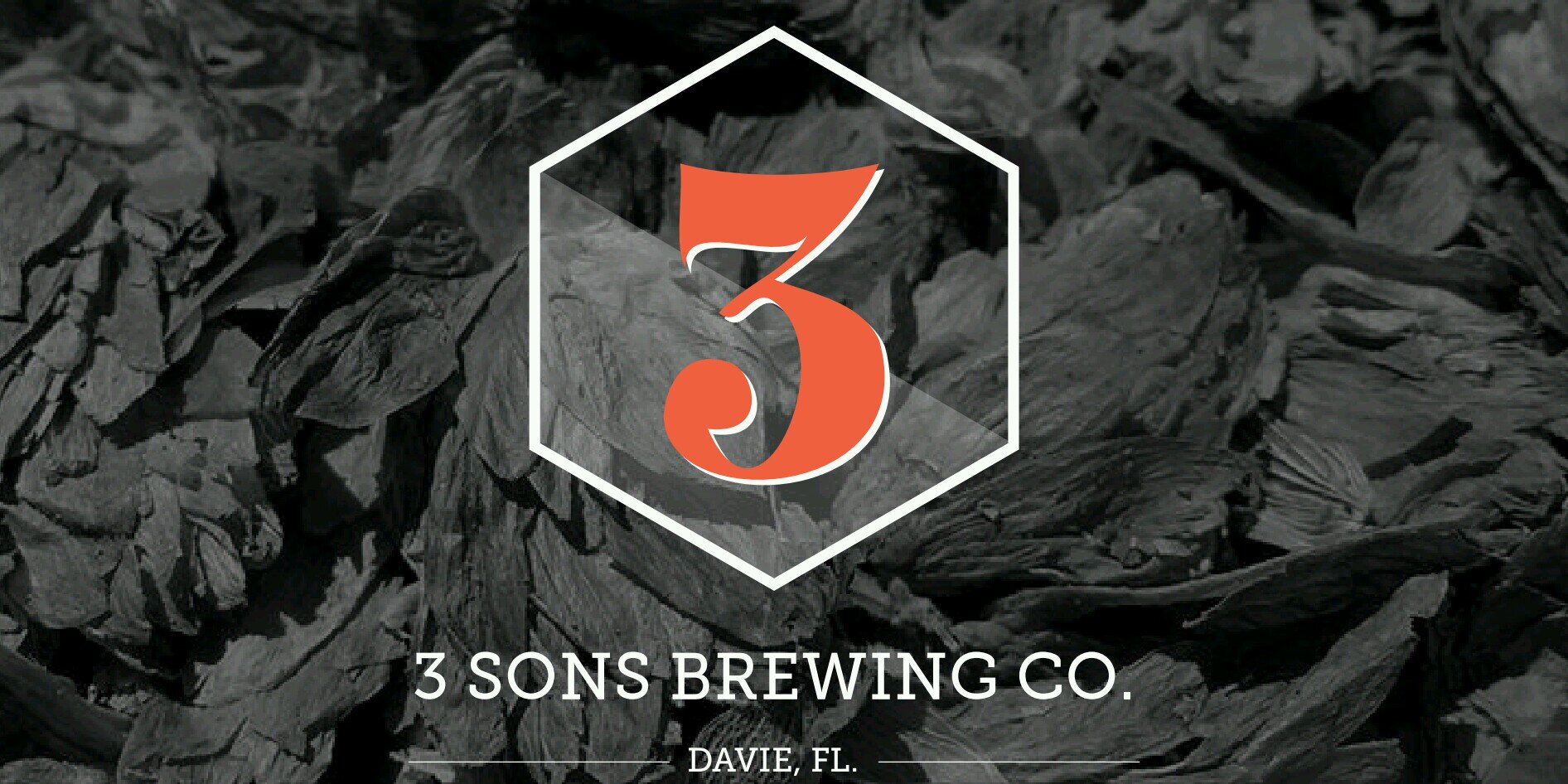 3 Sons Brewing Co. banner