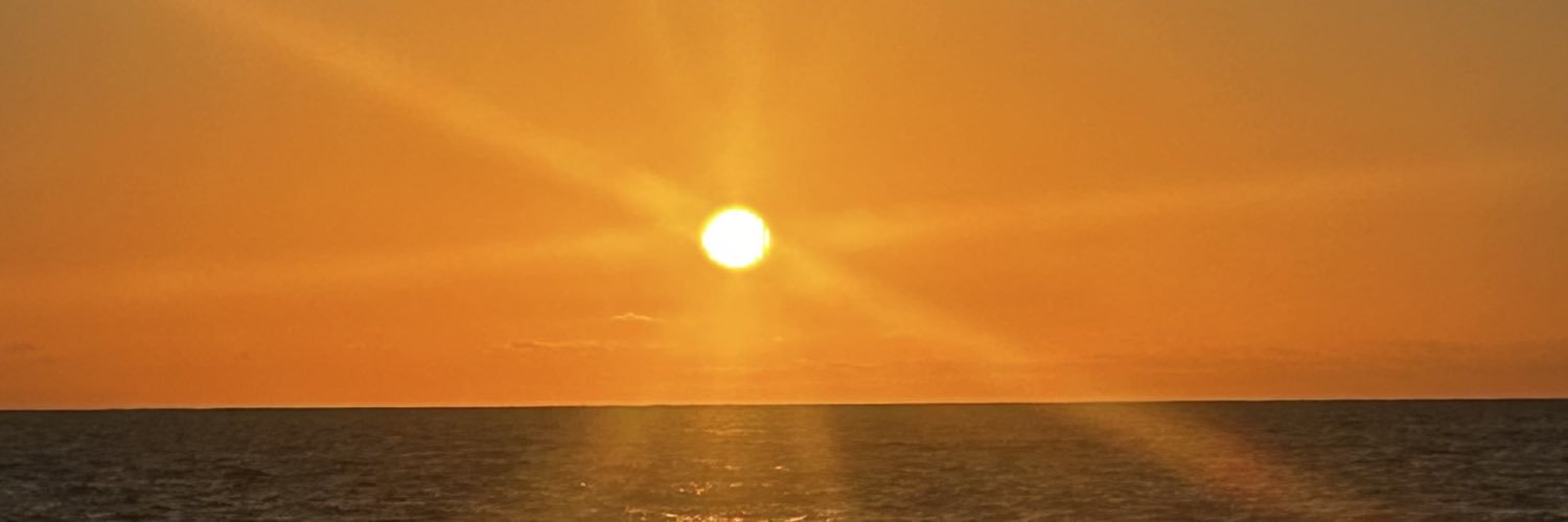 Moonmonkey1972's profile banner image