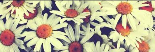 Kayleighellie10's profile banner image
