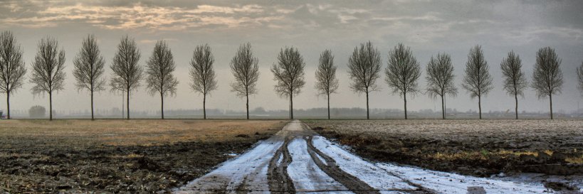 murpNL's profile banner image