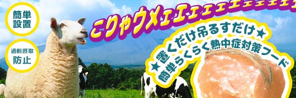 blackash49's profile banner image