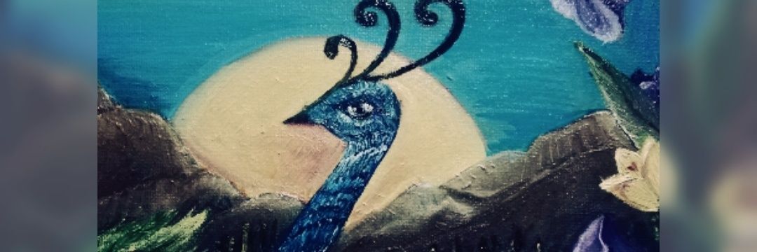 shahida1001's profile banner image