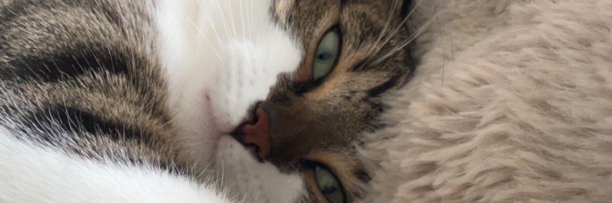 celialbn's profile banner image