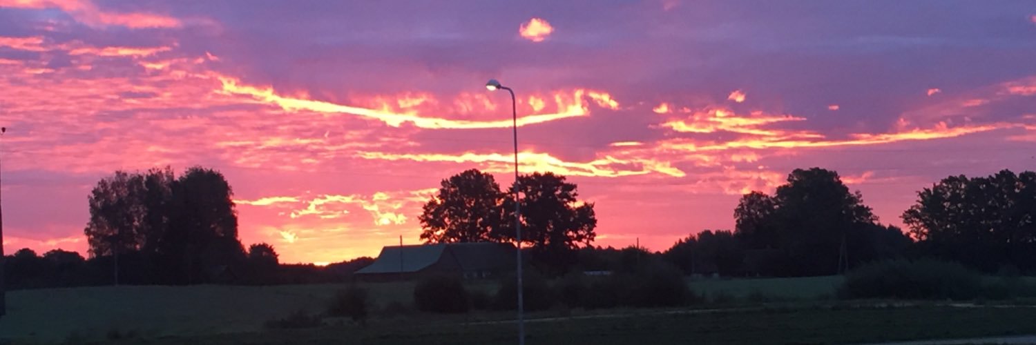 Rene_Nygaard's profile banner image