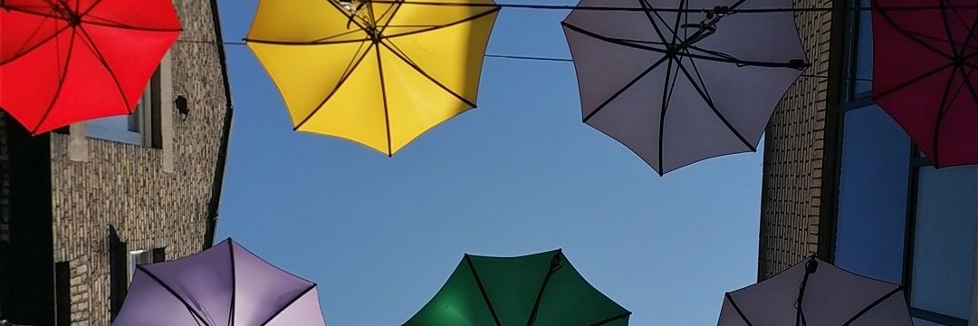imblindbutifly's profile banner image