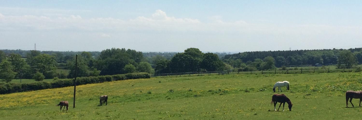 NewmanDofE's profile banner image