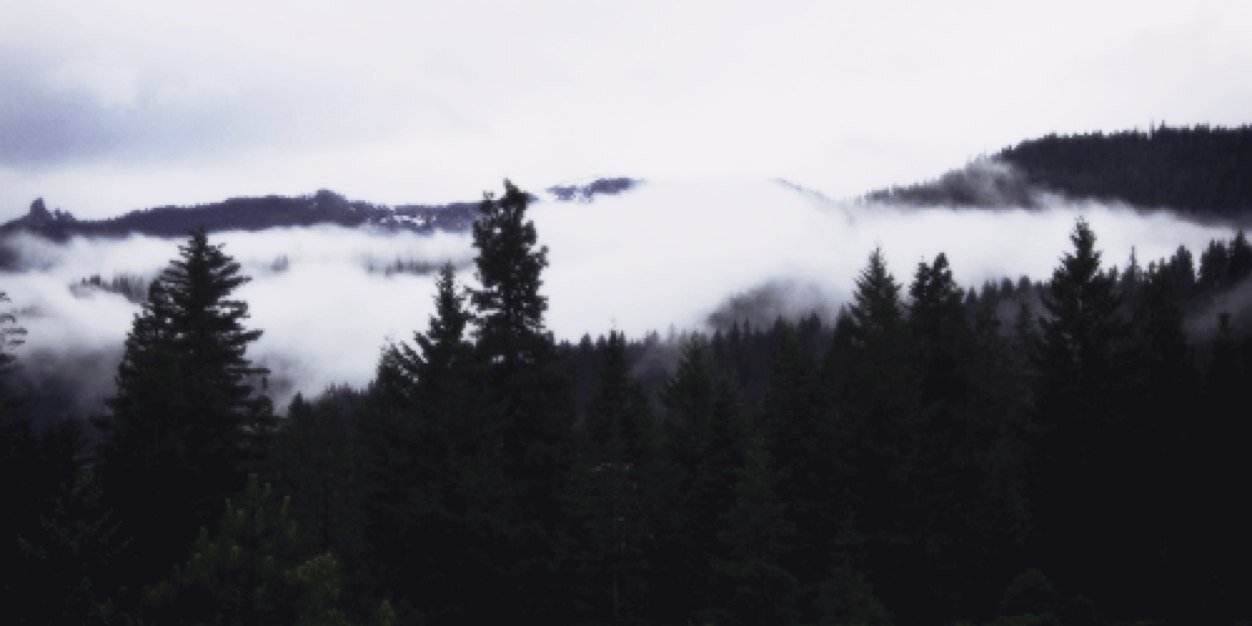 Ashton_MA's profile banner image