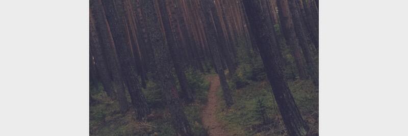 AlekEvensen's profile banner image