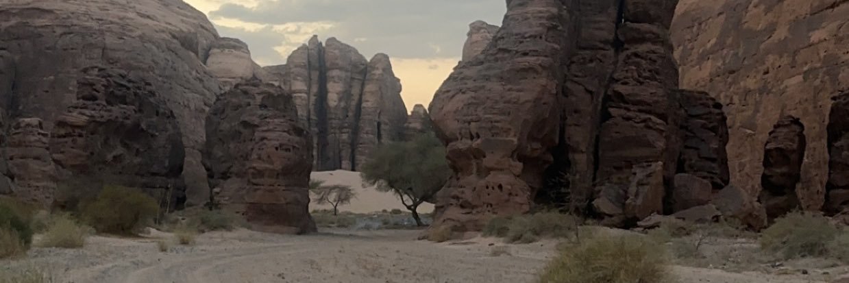 Lujvinn's profile banner image