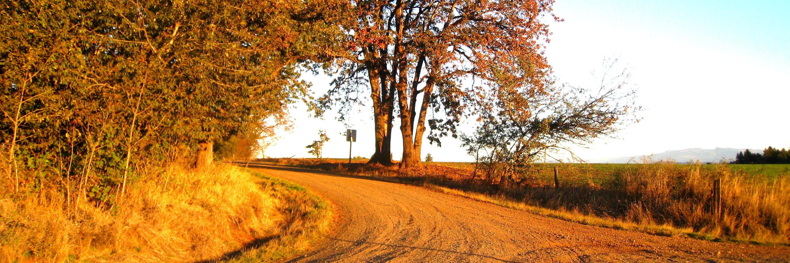 oregonnext's profile banner image