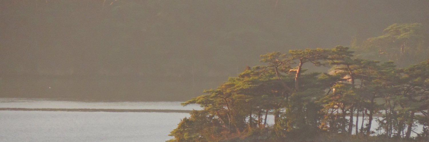 shunbaseball1's profile banner image