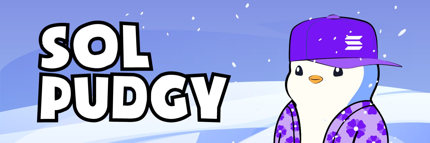 sol_pudgy's profile banner image