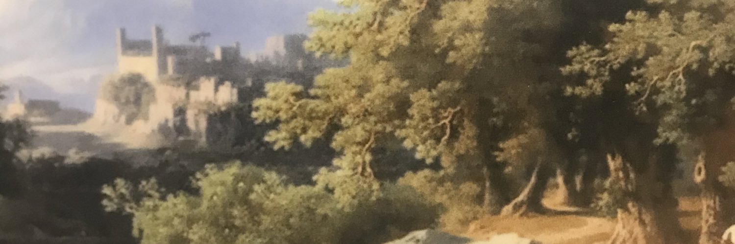 sneqoc's profile banner image