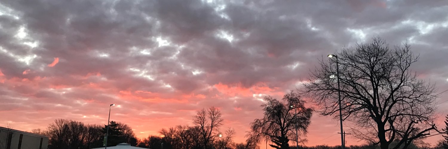 abbeyfriedmann's profile banner image