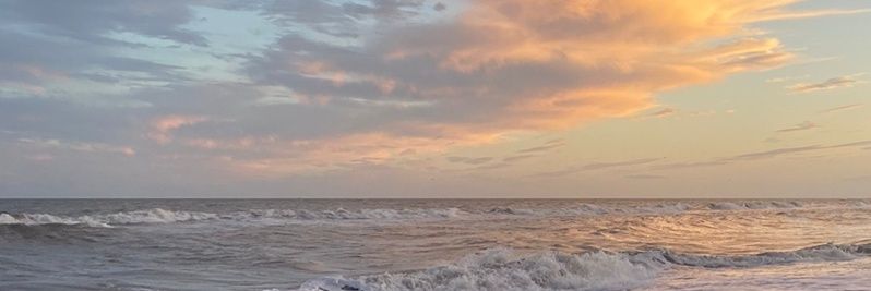 FloriPansa's profile banner image