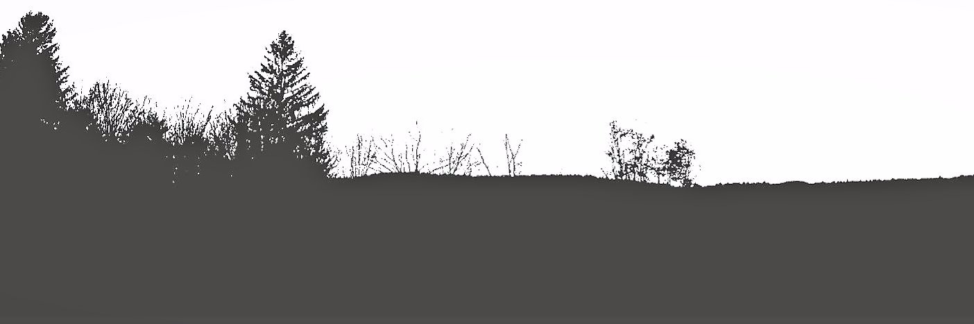 marycul's profile banner image