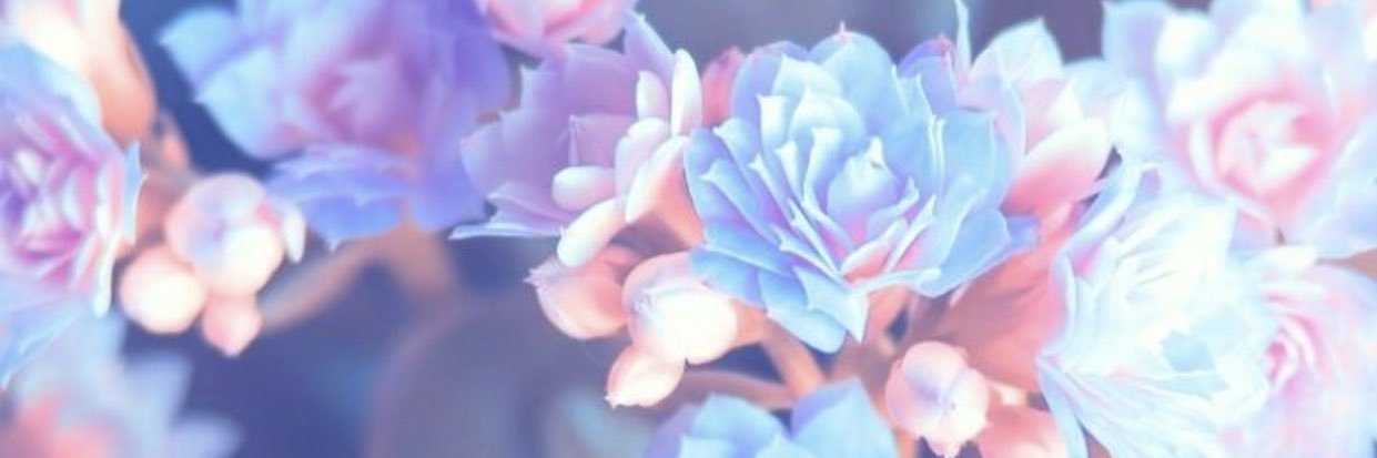 Hailleeey's profile banner image
